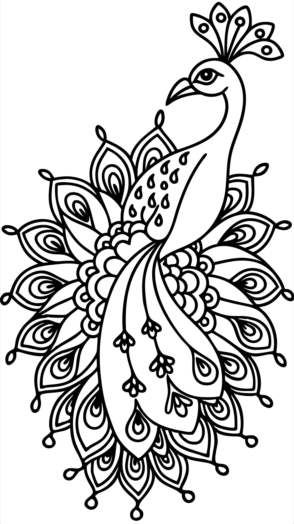 peacock printable coloring pages